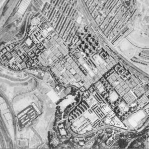 Año 1956. Fuente: bla bla bla bla